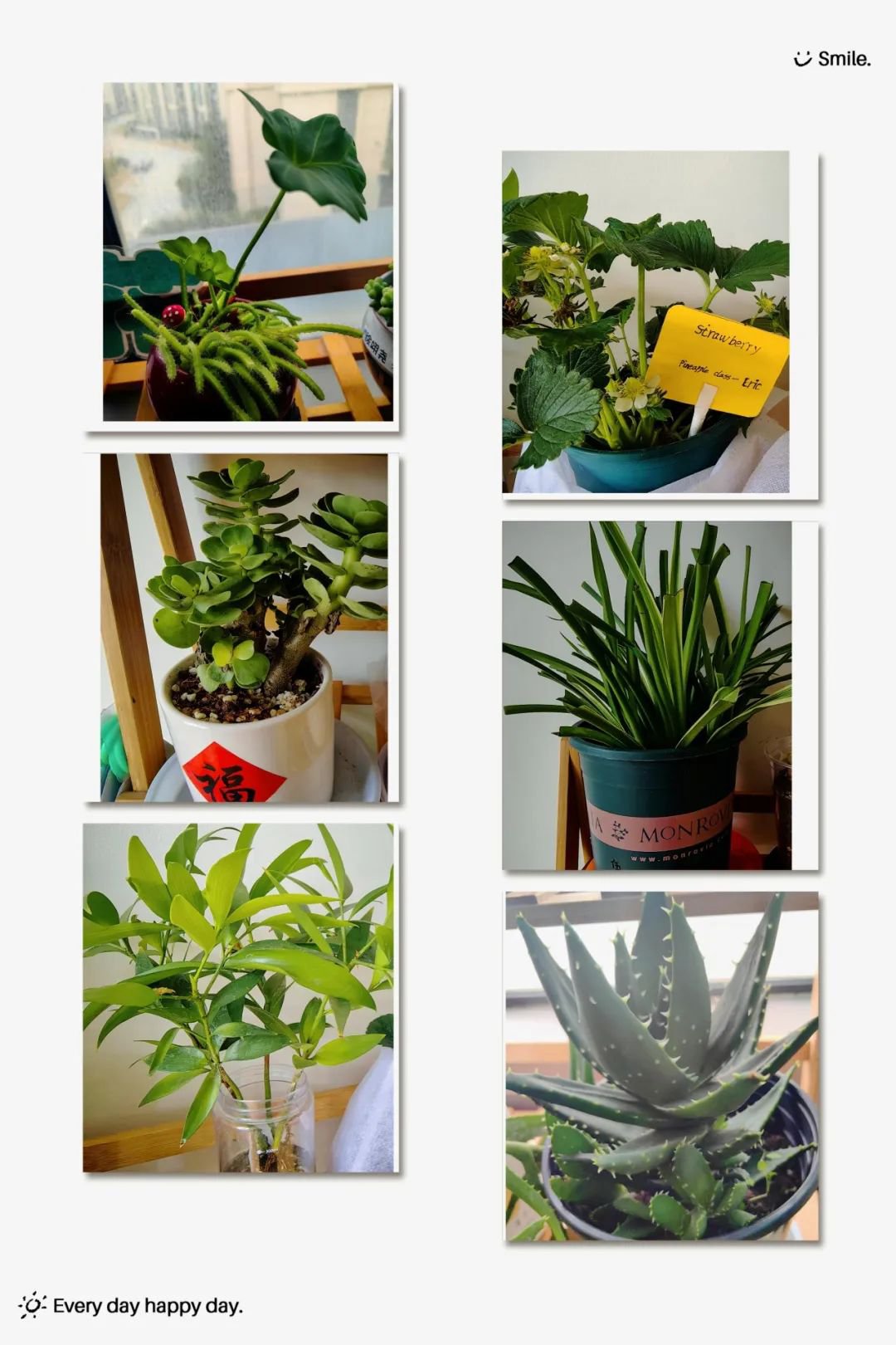 首页-人生就是博