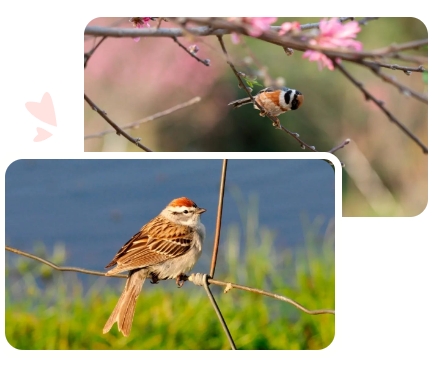 首页-人生就是博