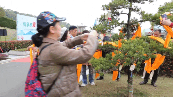 1-24040510553B61 首页-人生就是博