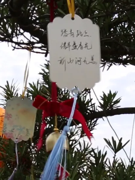1-240405105614100 首页-人生就是博