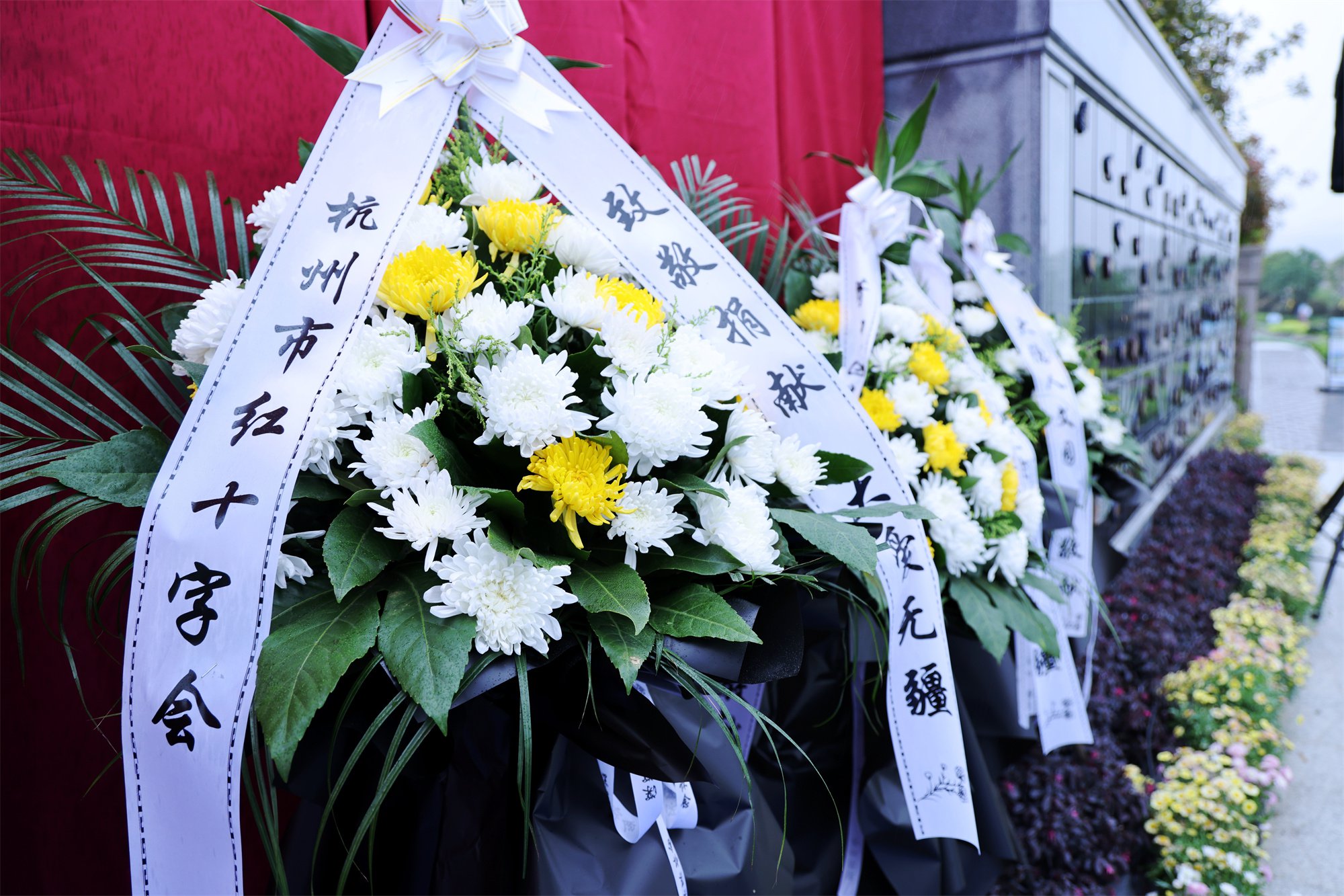 首页-人生就是博