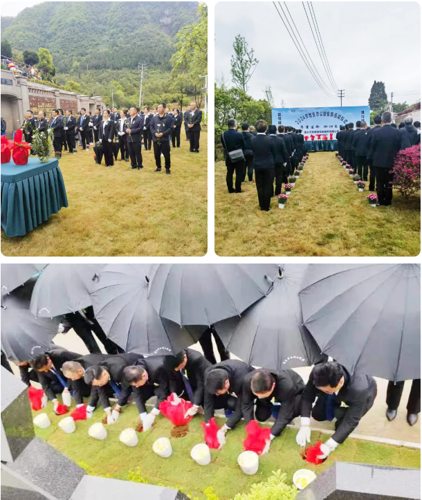 首页-人生就是博