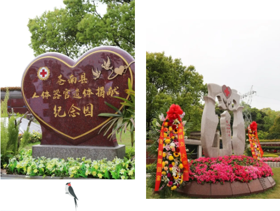 1-2404060951244F 首页-人生就是博