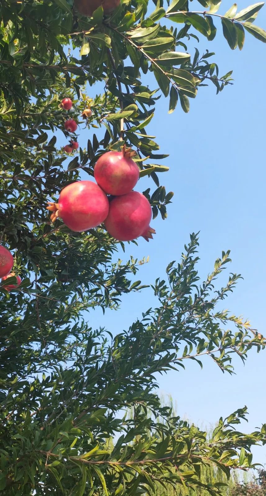 首页-人生就是博