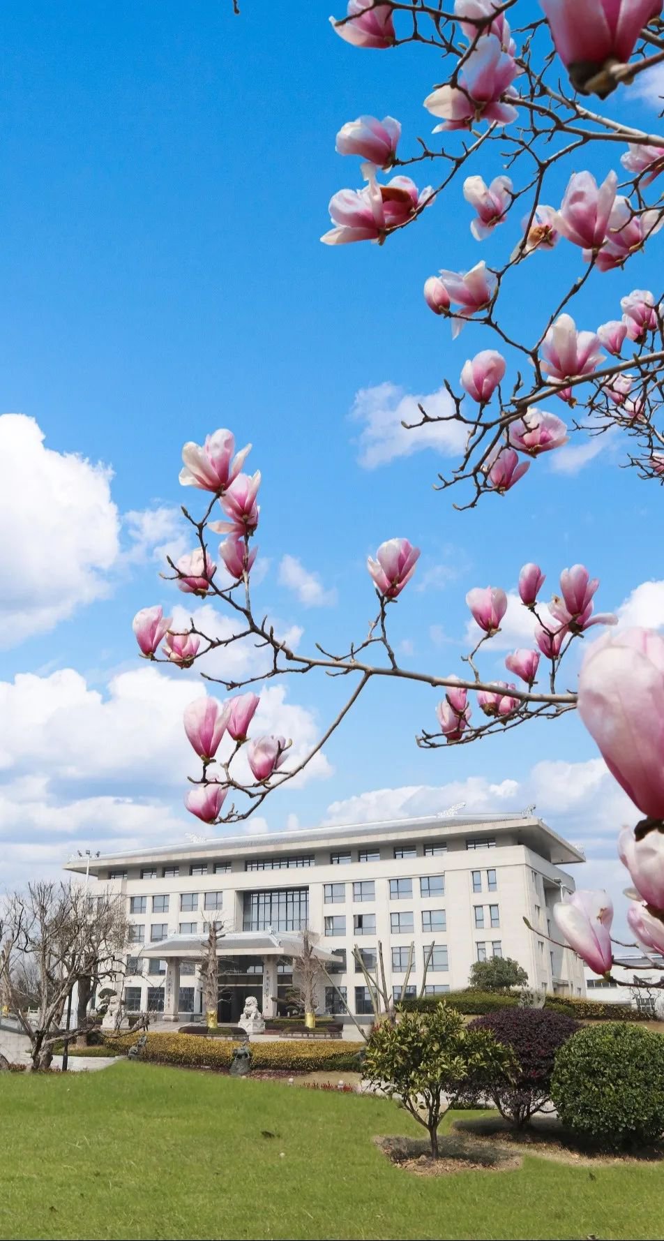 首页-人生就是博