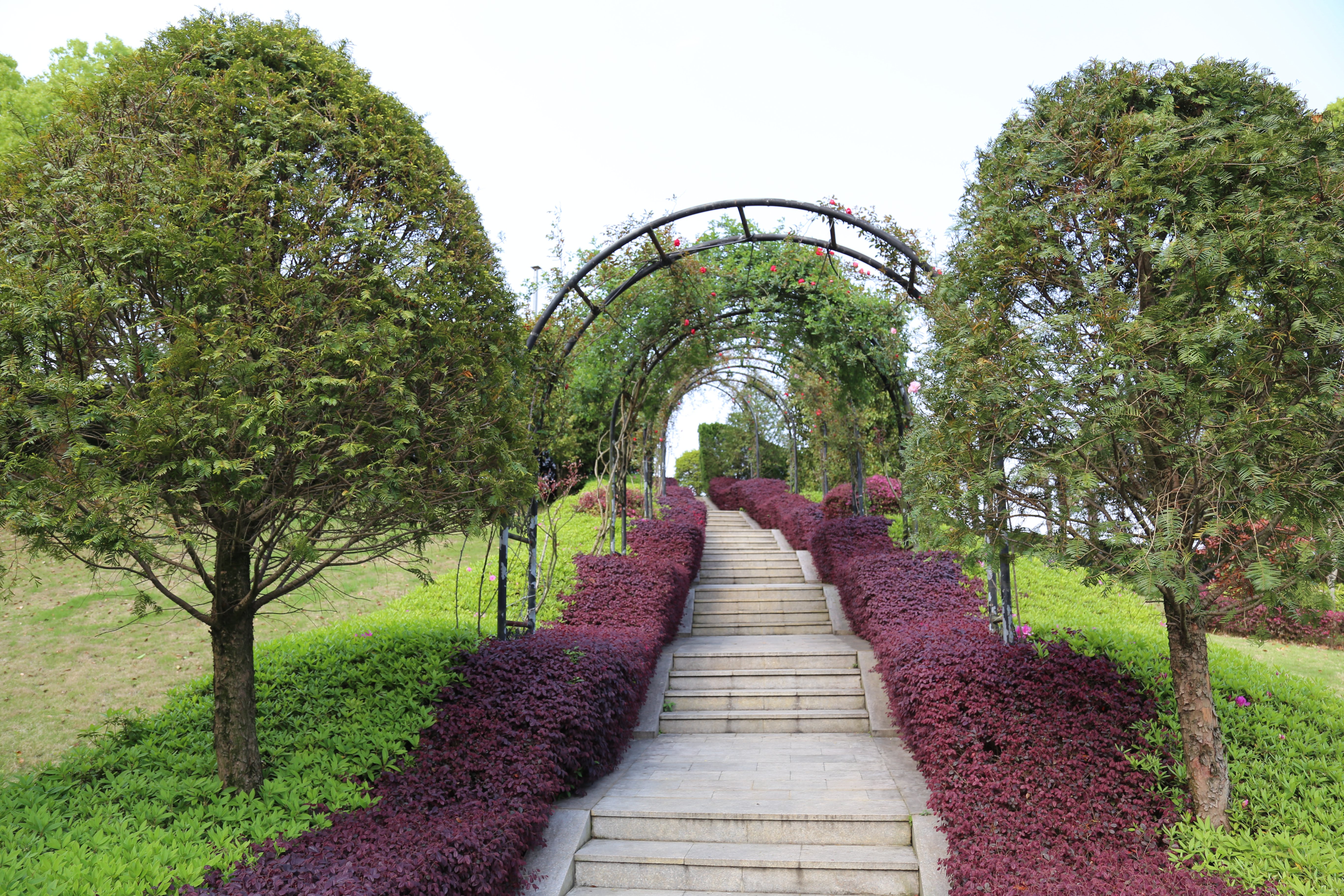 首页-人生就是博