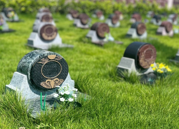 首页-人生就是博