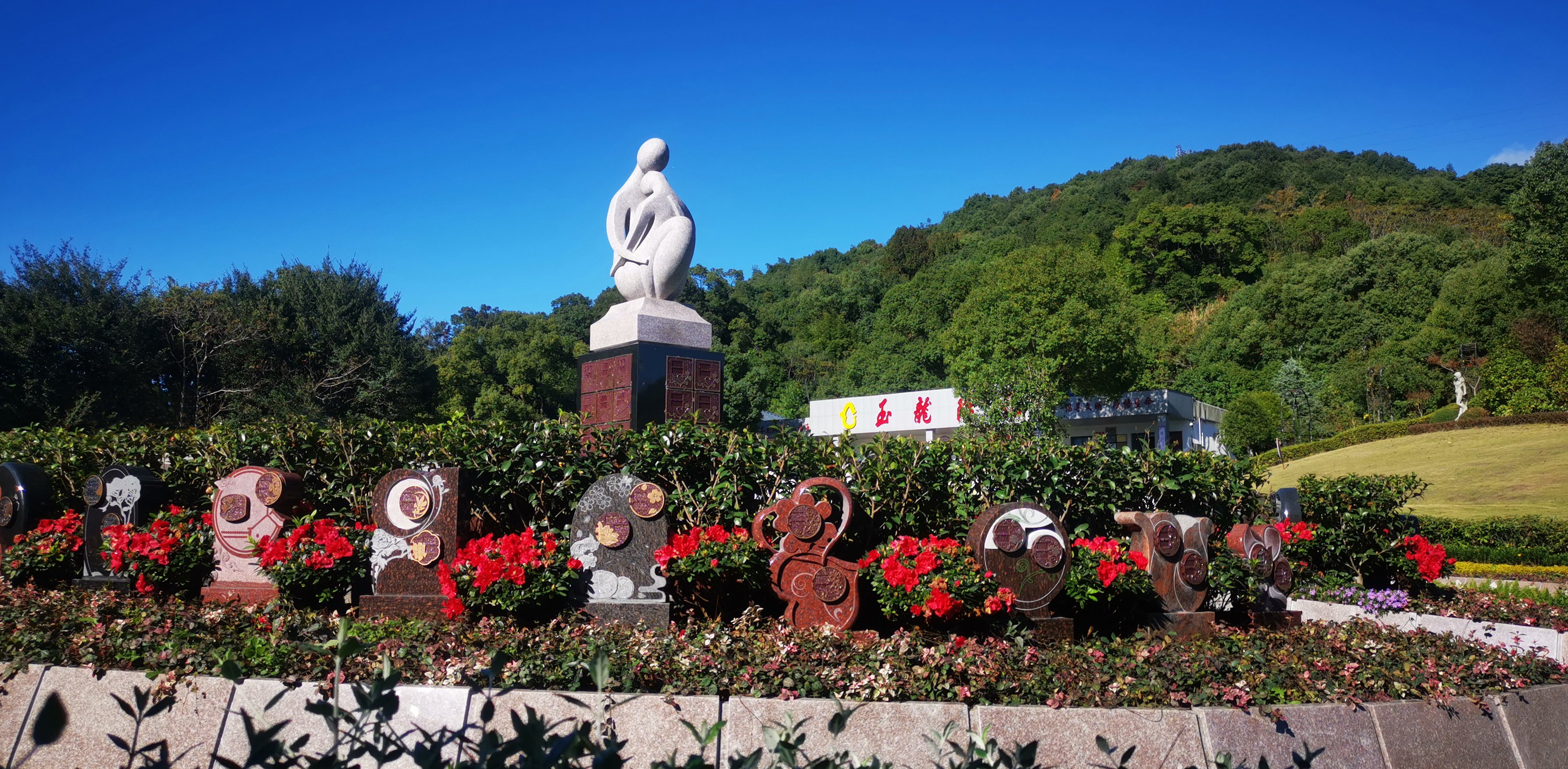 未来，，生态葬或将成为主流