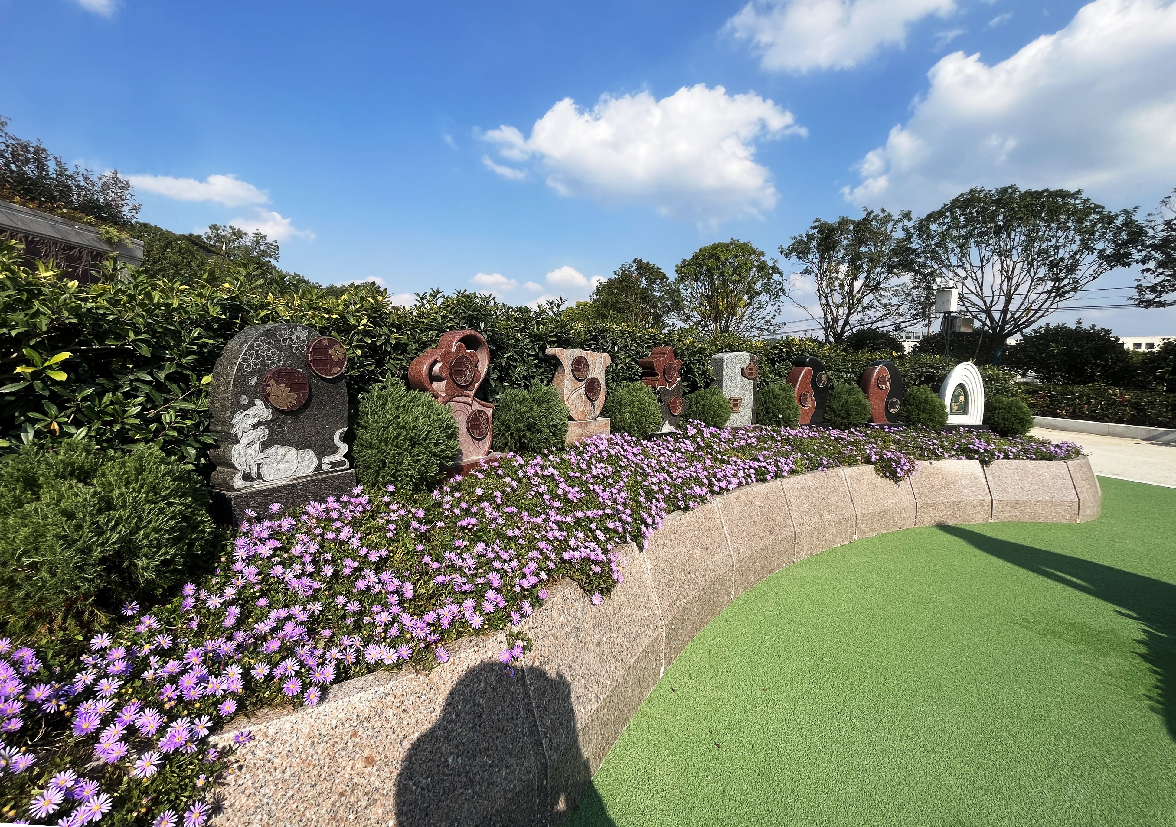 首页-人生就是博