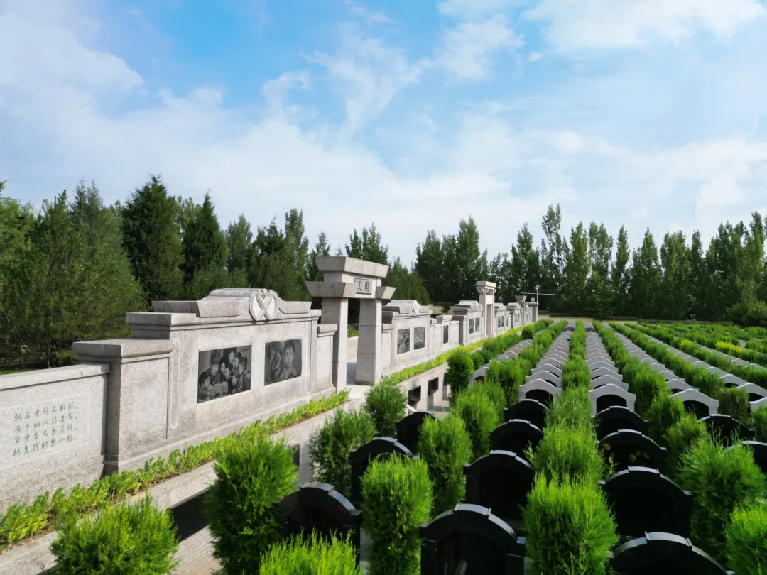 首页-人生就是博