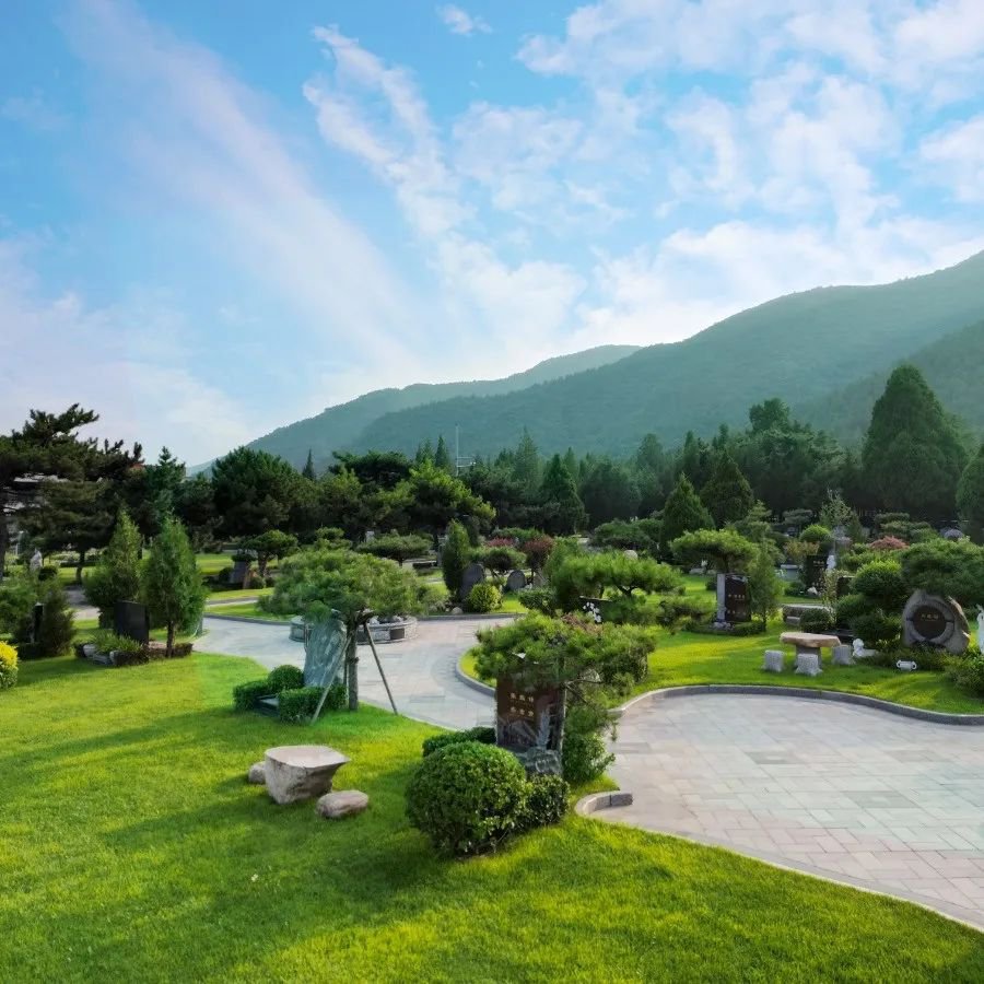 首页-人生就是博