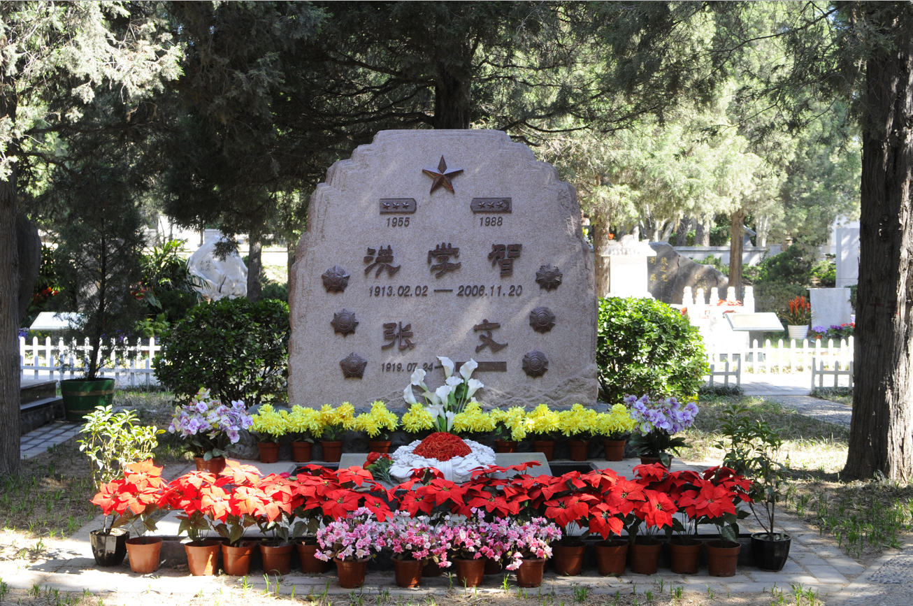 首页-人生就是博