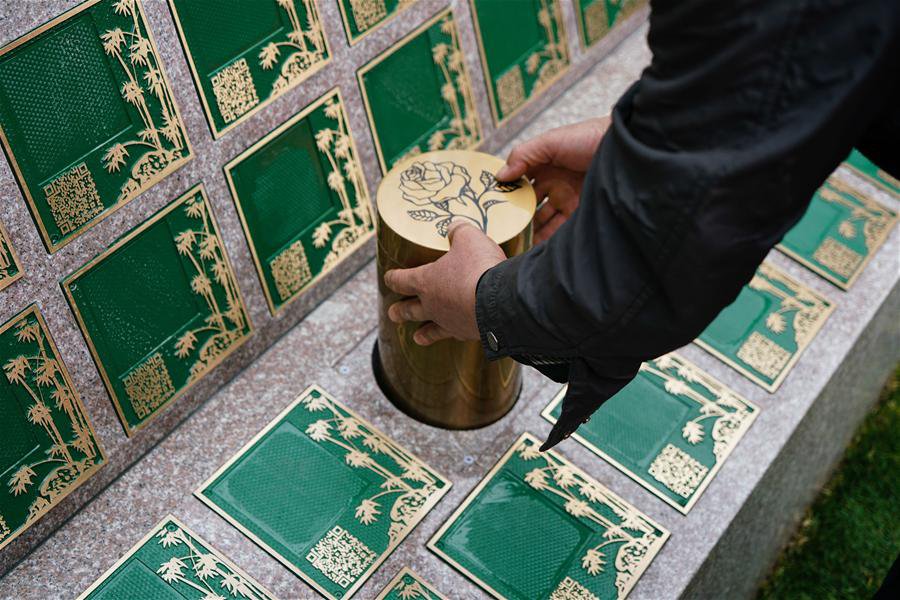 首页-人生就是博