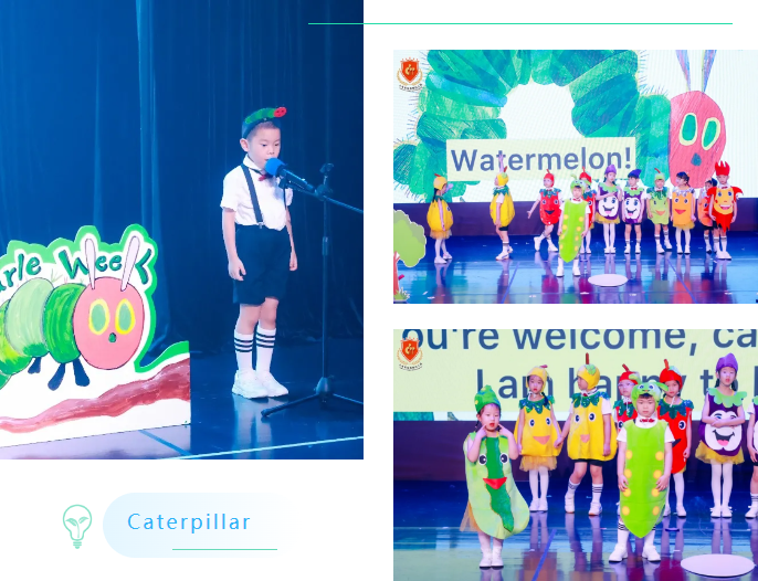 首页-人生就是博