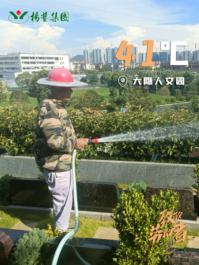 首页-人生就是博