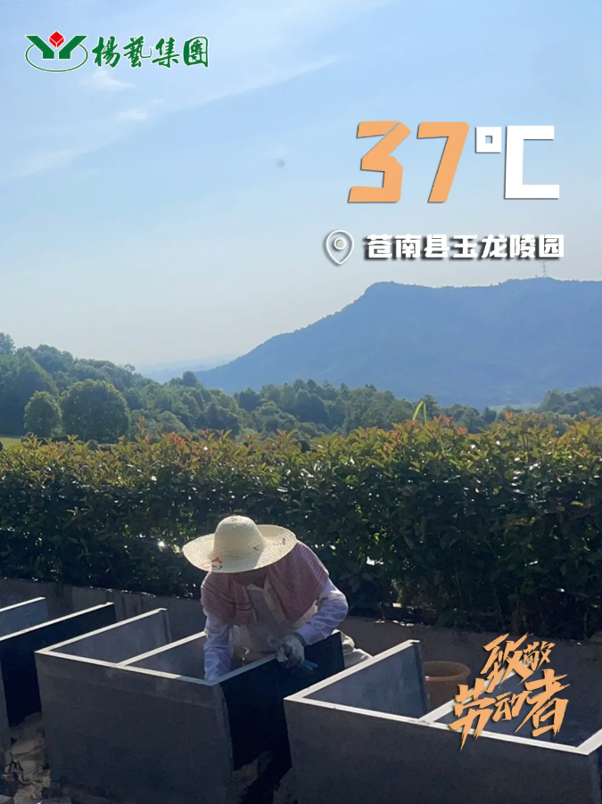 首页-人生就是博