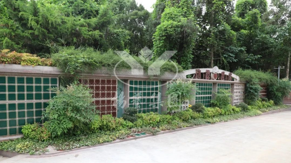 首页-人生就是博