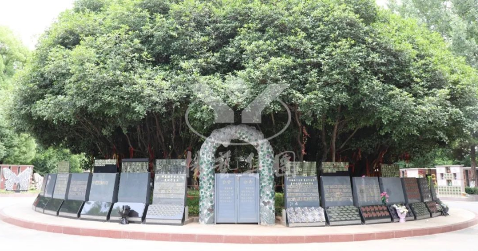 首页-人生就是博