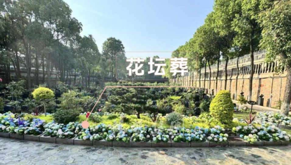 首页-人生就是博