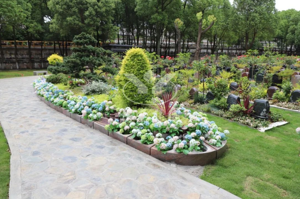 首页-人生就是博