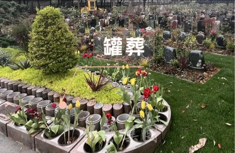 首页-人生就是博