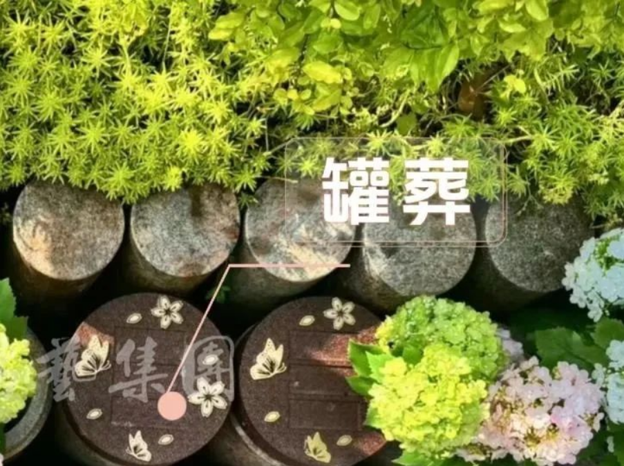 首页-人生就是博