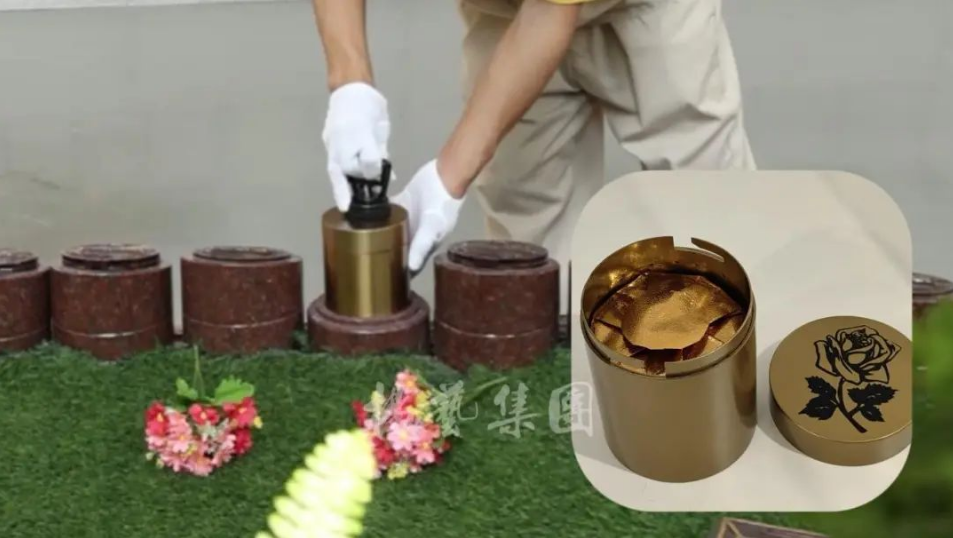 首页-人生就是博