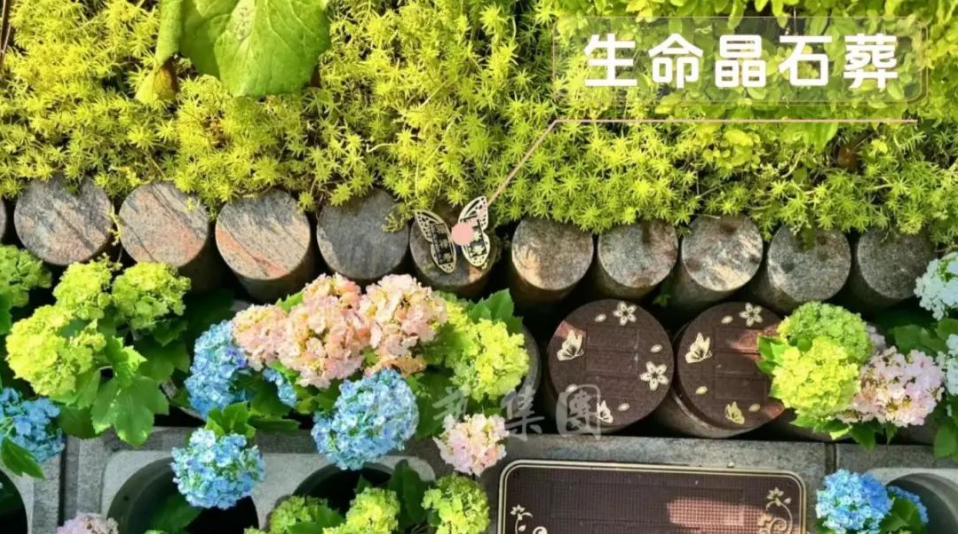 首页-人生就是博