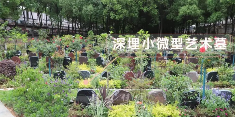 首页-人生就是博