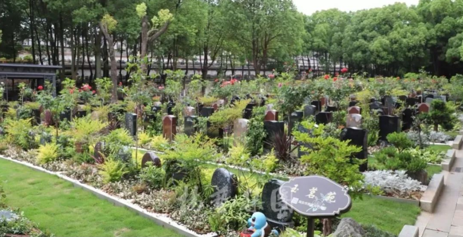 首页-人生就是博