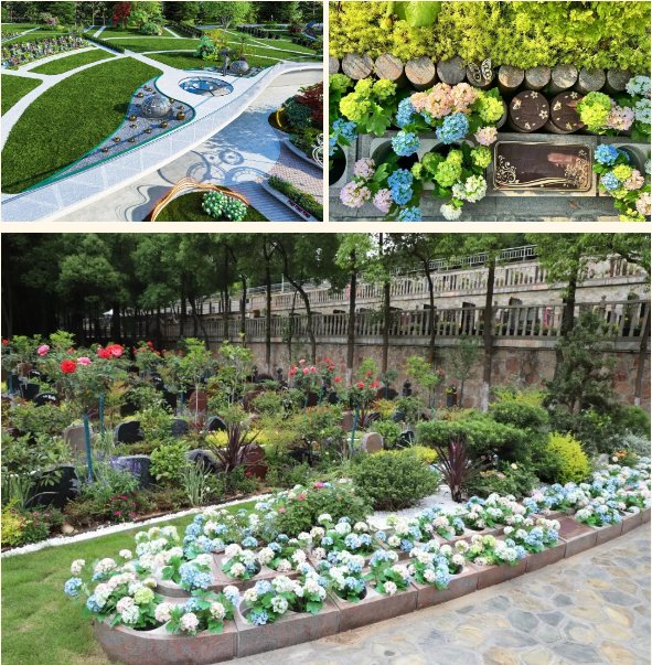 首页-人生就是博