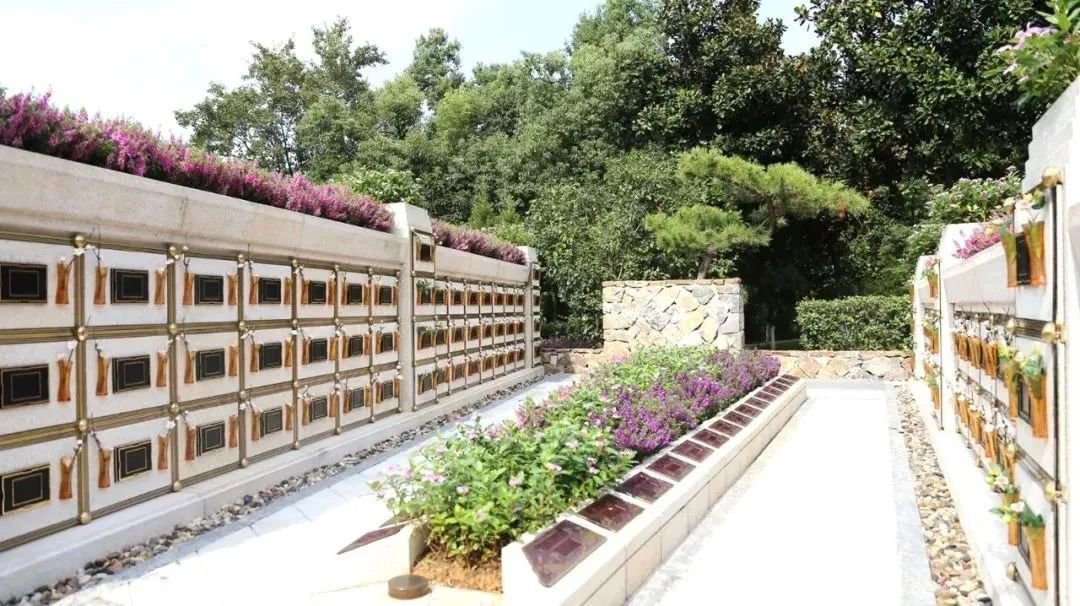 首页-人生就是博