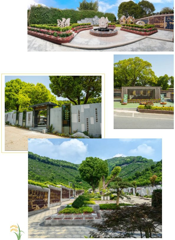 首页-人生就是博