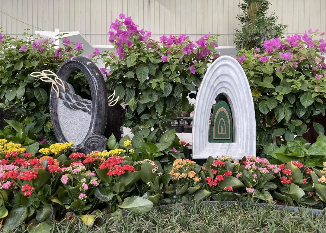 首页-人生就是博