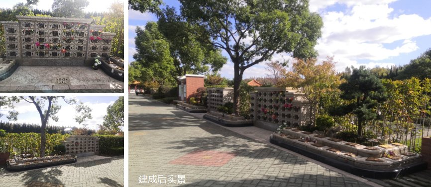 首页-人生就是博