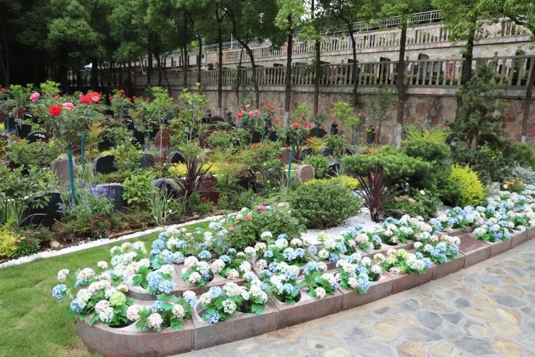 首页-人生就是博