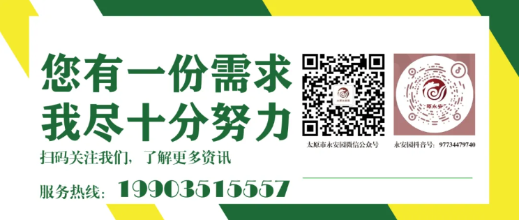 首页-人生就是博