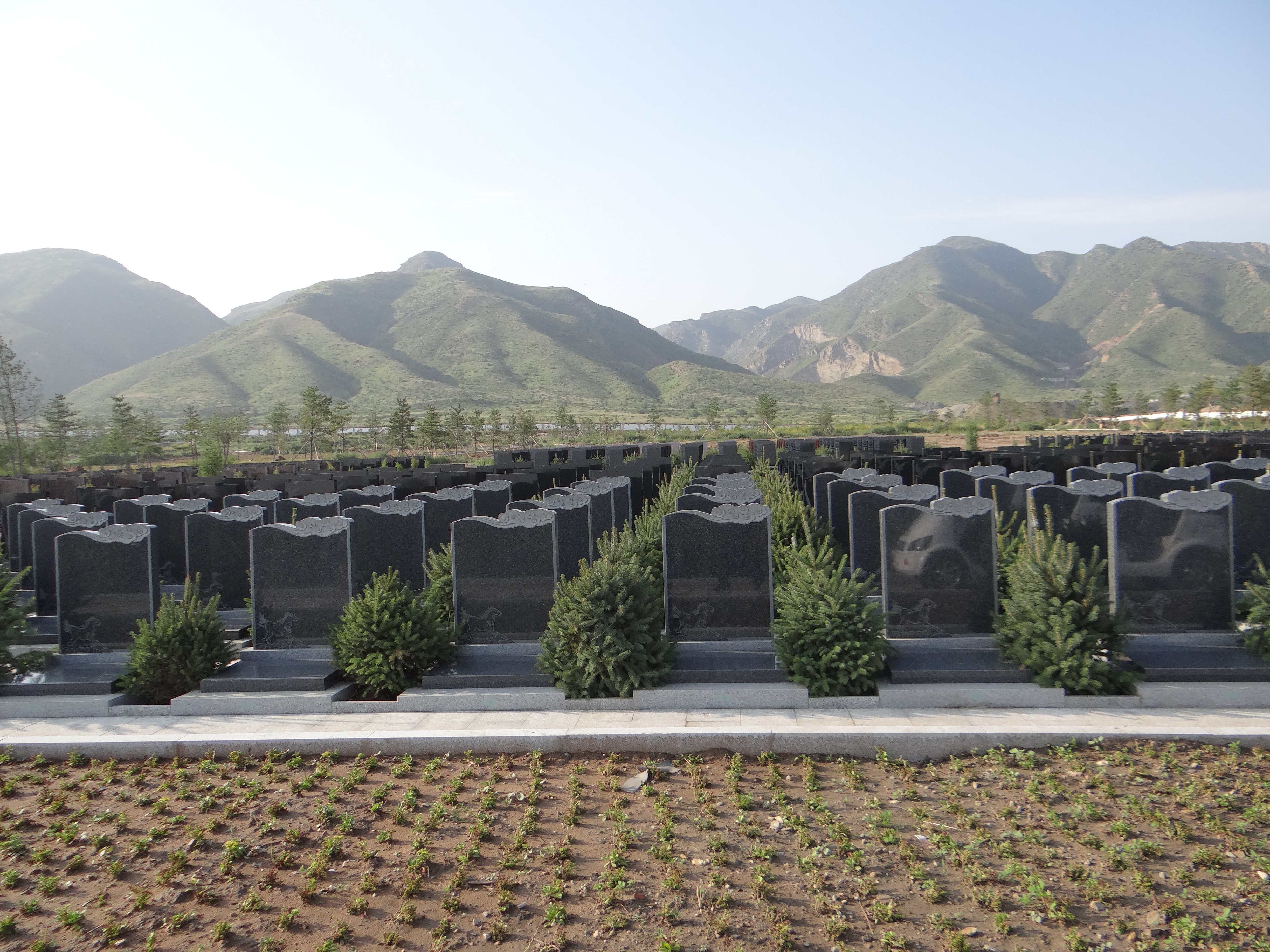 首页-人生就是博