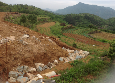 首页-人生就是博