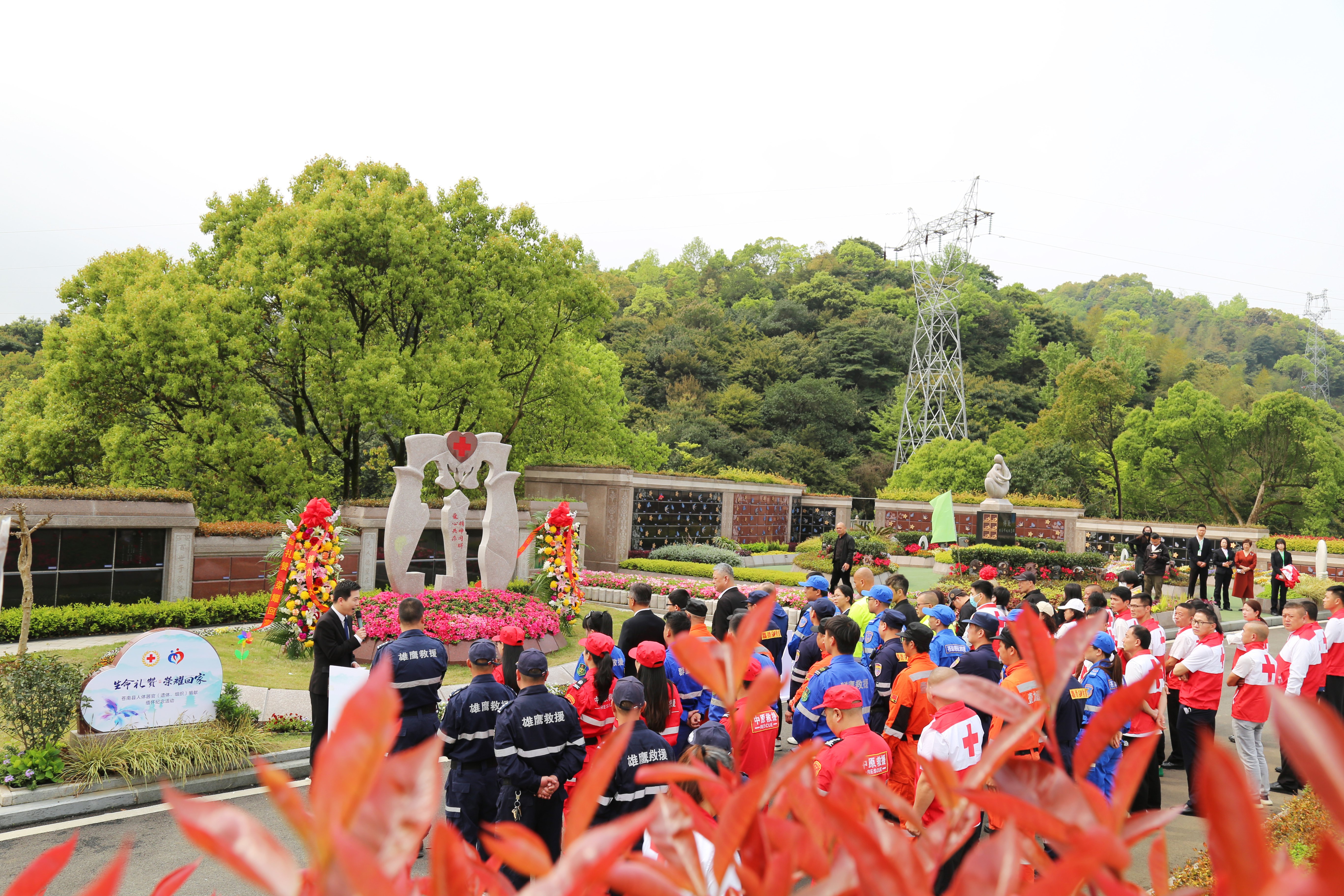 首页-人生就是博