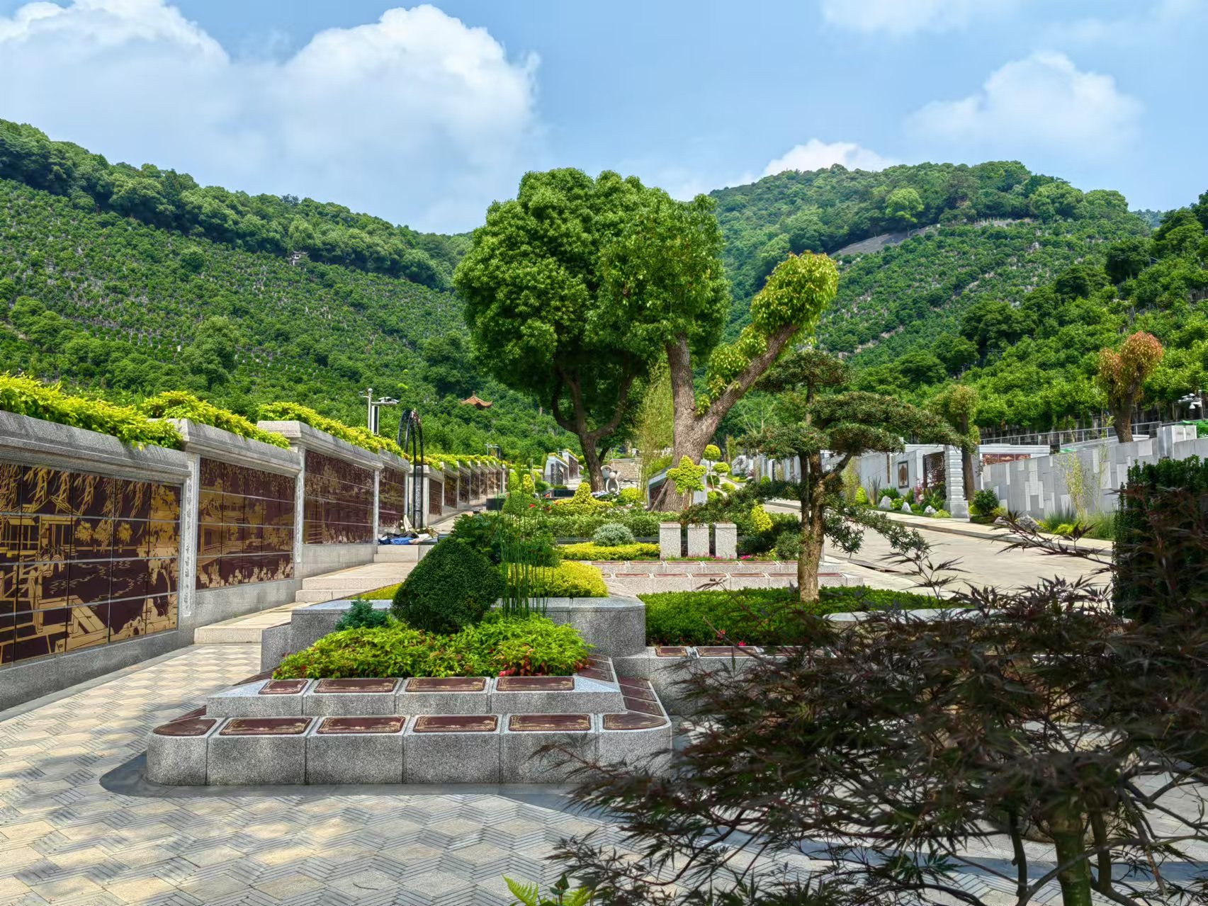 引领绿色生态新民俗，，，，，，共筑生命协调家园