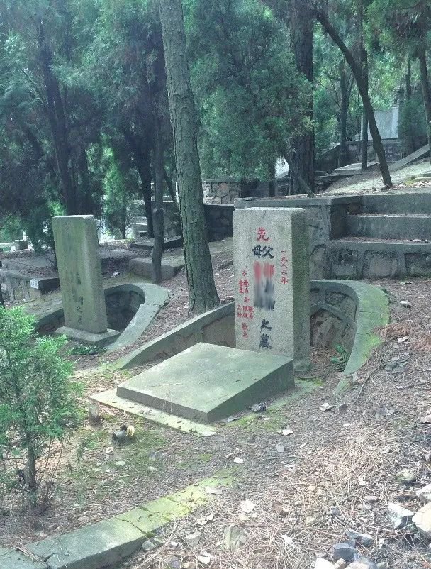 首页-人生就是博