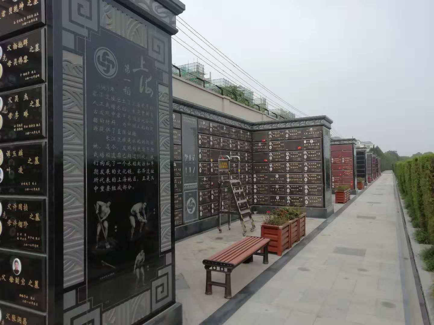 首页-人生就是博