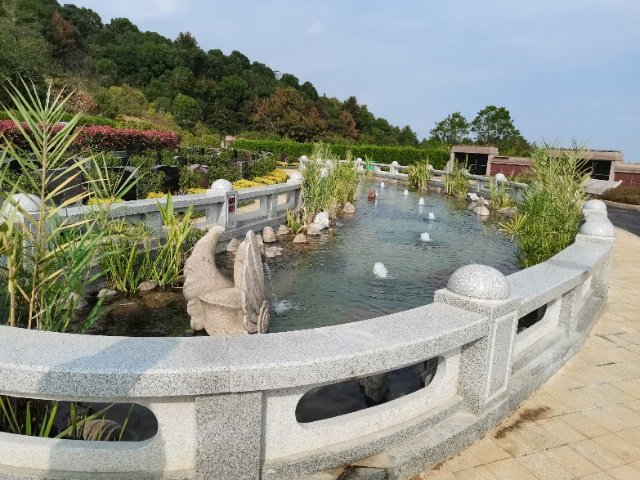 首页-人生就是博