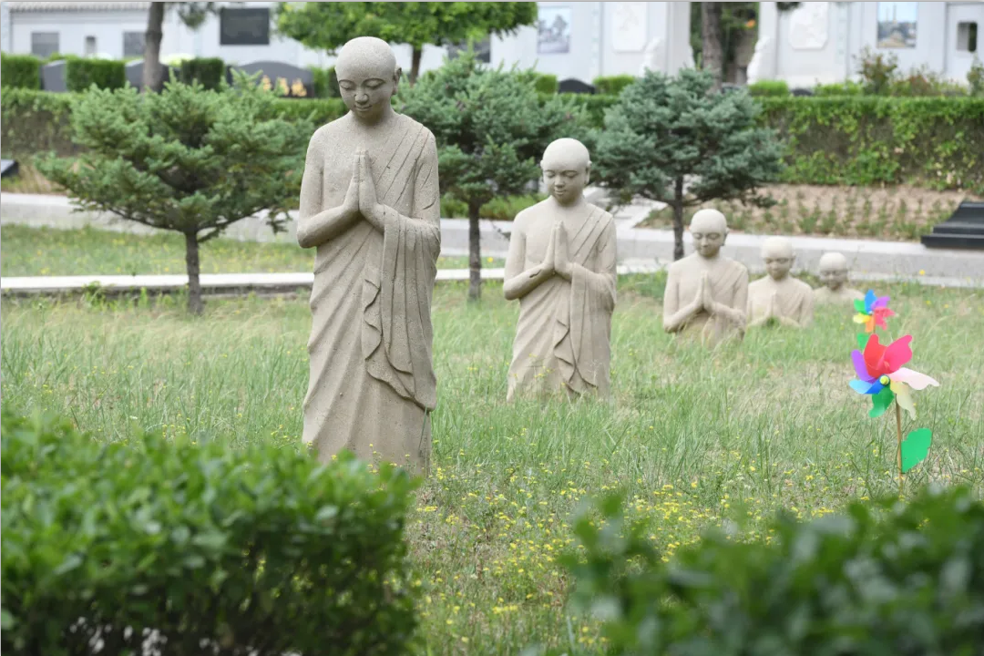 首页-人生就是博