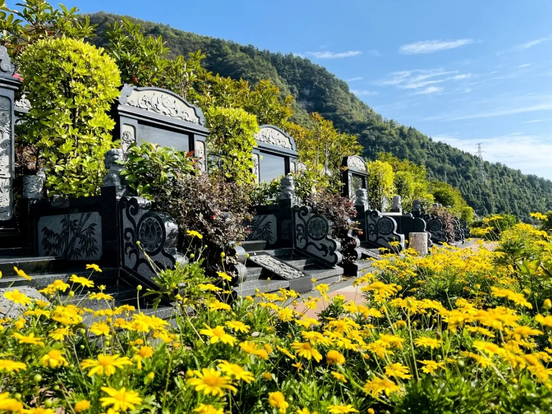 首页-人生就是博