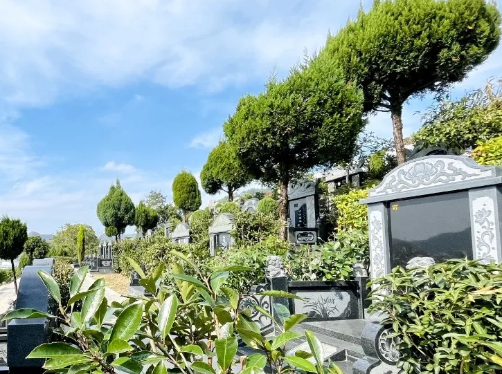 首页-人生就是博