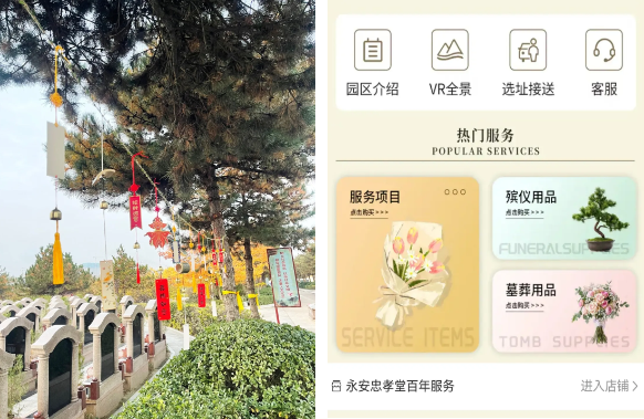 1-241101161H3112 首页-人生就是博