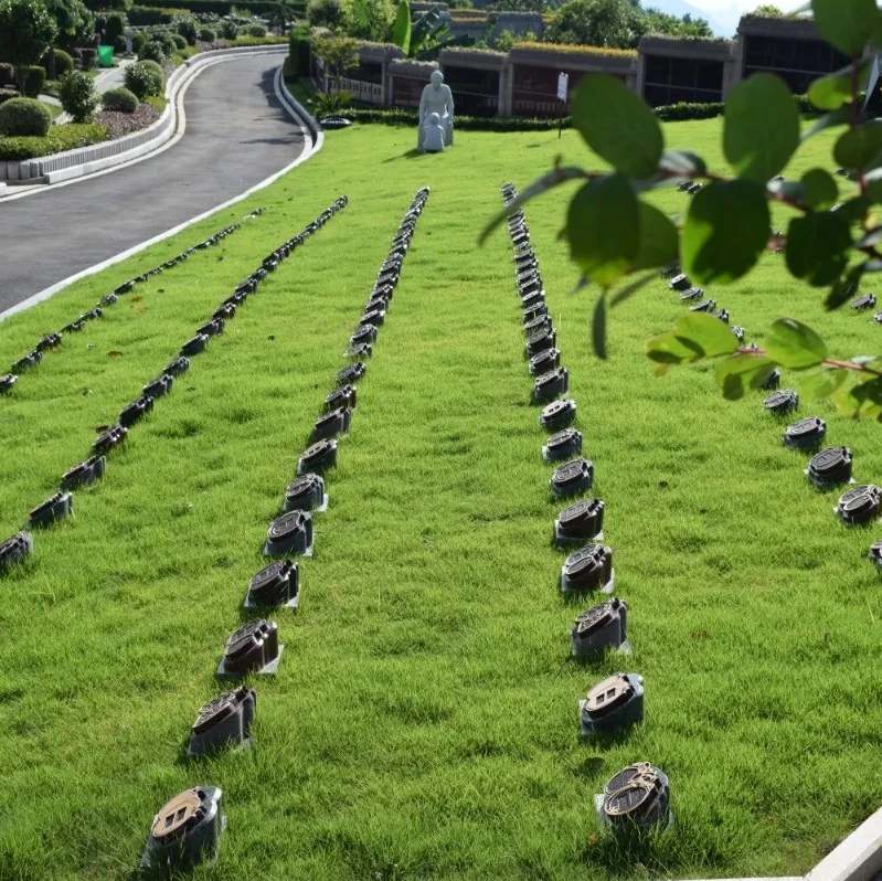 首页-人生就是博