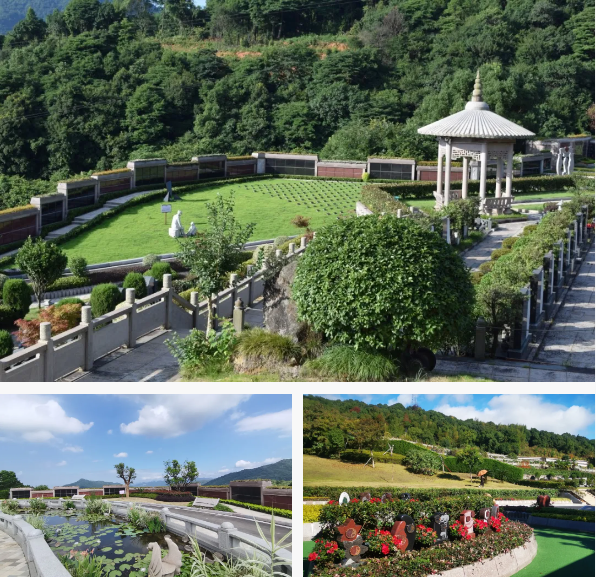 首页-人生就是博